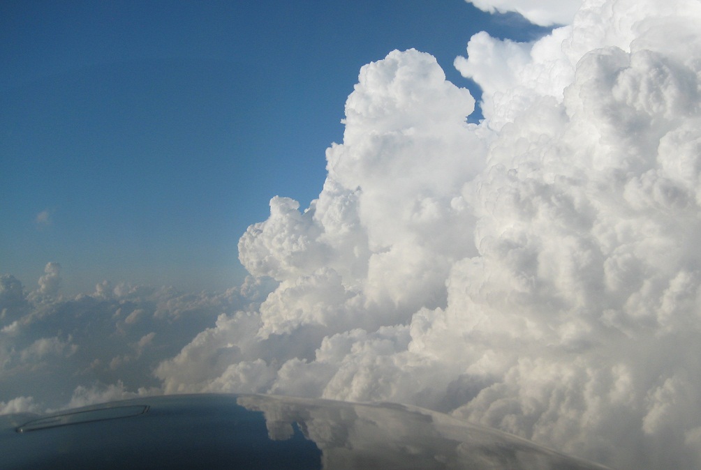 Are Pilots Required to Call Flight Service for a Briefing Before Departure?